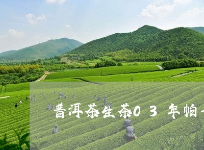 普洱茶生茶03年帕卡/2023062275959