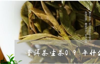 普洱茶生茶09年什么价格/2023110460592