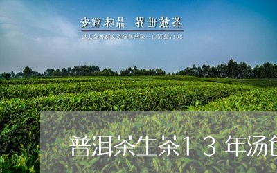 普洱茶生茶13年汤色/2023062369380