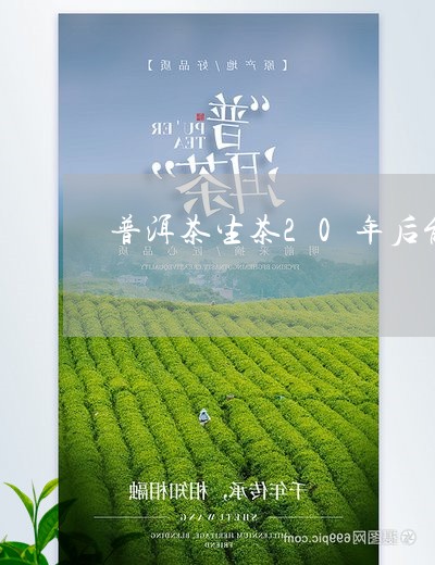 普洱茶生茶20年后能喝吗/2023110737249