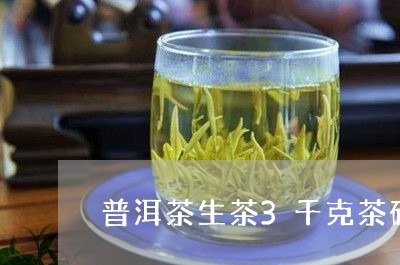 普洱茶生茶3千克茶砖/2023120682714