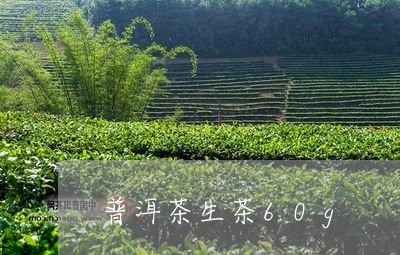 普洱茶生茶60g/2023112663927