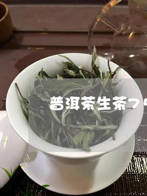 普洱茶生茶7540/2023070972806