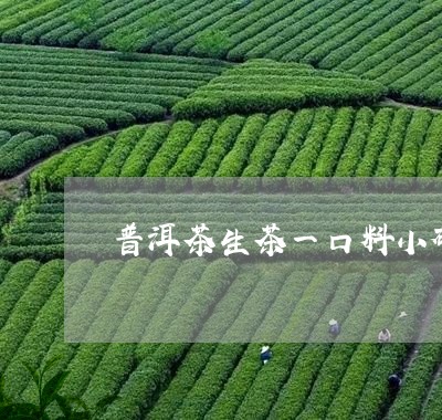 普洱茶生茶一口料小砖/2023062170682