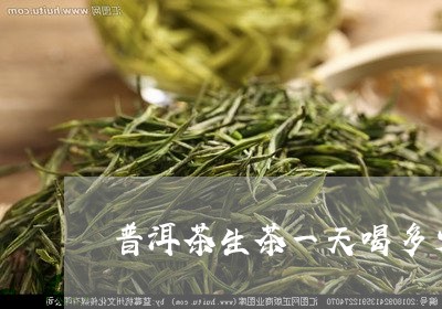 普洱茶生茶一天喝多少杯/2023083046583