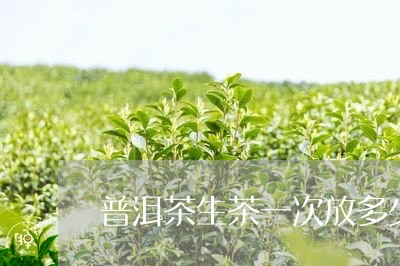 普洱茶生茶一次放多少/2023062256148