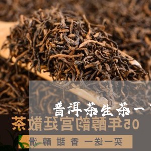 普洱茶生茶一百克多钱/2023062253826