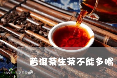 普洱茶生茶不能多喝/2023112743625