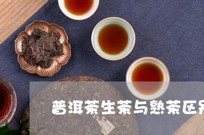 普洱茶生茶与熟茶区别如何保存好/2023083035050