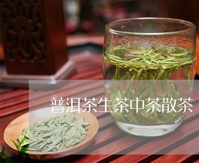 普洱茶生茶中茶散茶/2023112594614