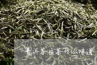 普洱茶生茶什么味道/2023091457392