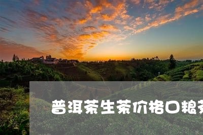 普洱茶生茶价格口粮茶/2023062851624