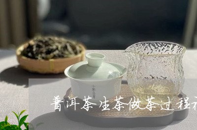 普洱茶生茶做茶过程视频/2023110771693