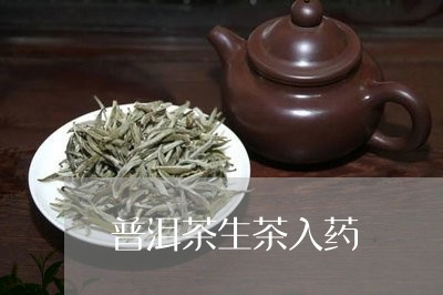 普洱茶生茶入药/2023082648473