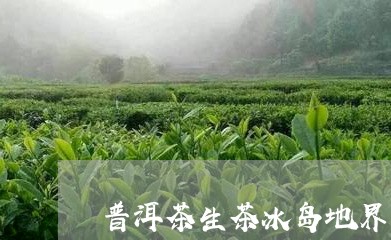 普洱茶生茶冰岛地界口感/2023050583959