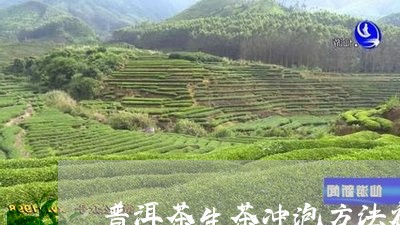 普洱茶生茶冲泡方法视频教程/2023121715148