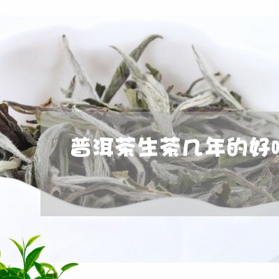 普洱茶生茶几年的好喝/2023120745928