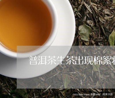 普洱茶生茶出现棉絮状能喝吗/2023110283947