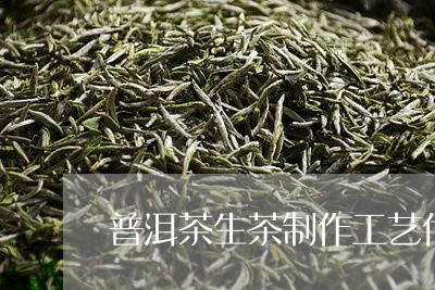 普洱茶生茶制作工艺代号/2023083020713