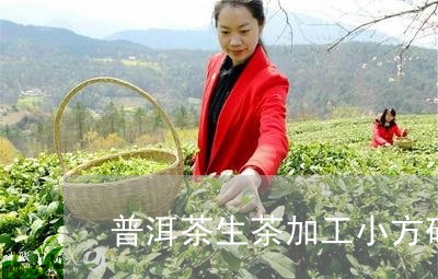 普洱茶生茶加工小方砖/2023080374128