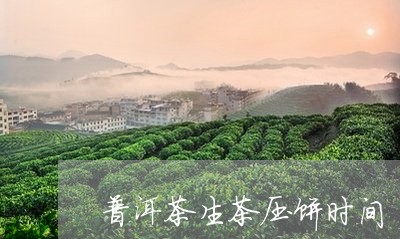 普洱茶生茶压饼时间/2023120586061