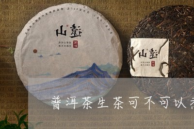 普洱茶生茶可不可以煮/2023062843837