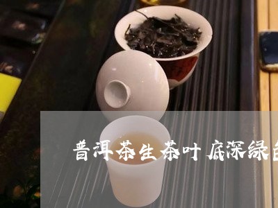 普洱茶生茶叶底深绿色/2023112440372