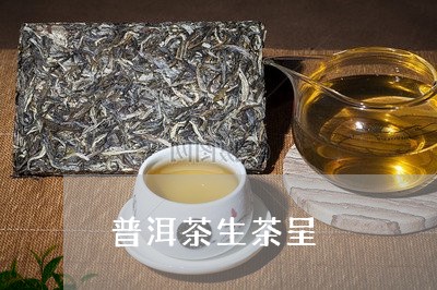 普洱茶生茶呈/2023042899510