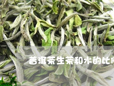 普洱茶生茶和水的比例/2023073067160