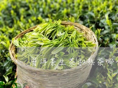 普洱茶生茶和熟茶哪个适合晚上喝/2023110369471