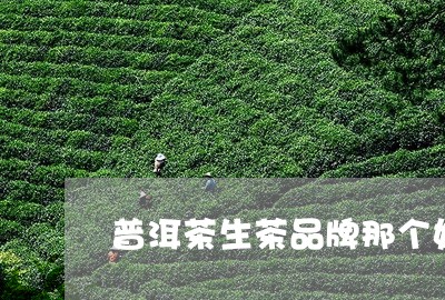 普洱茶生茶品牌那个好/2023100709715