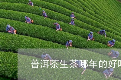 普洱茶生茶哪年的好喝点/2023083058481