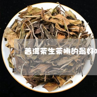 普洱茶生茶哪的最好喝/2023111014936