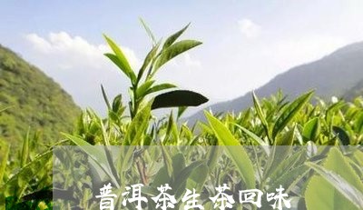 普洱茶生茶回味/2023070975270