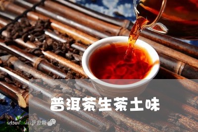 普洱茶生茶土味/2023091416161