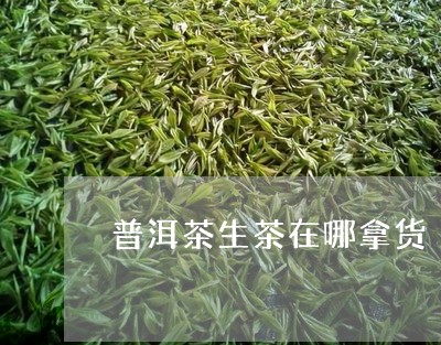 普洱茶生茶在哪拿货/2023070969471