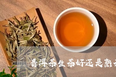 普洱茶生茶好还是熟茶区别大/2023052991614