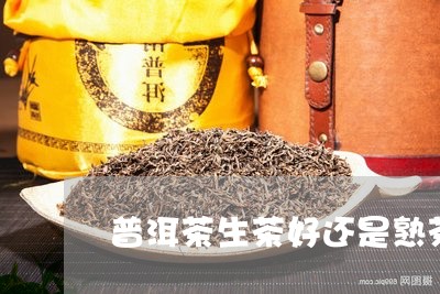 普洱茶生茶好还是熟茶对胃好一点/2023121753715