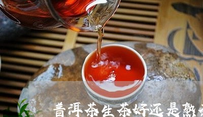 普洱茶生茶好还是熟茶贵一点/2023052960593