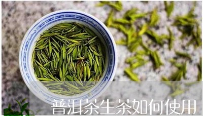 普洱茶生茶如何使用/2023070918582