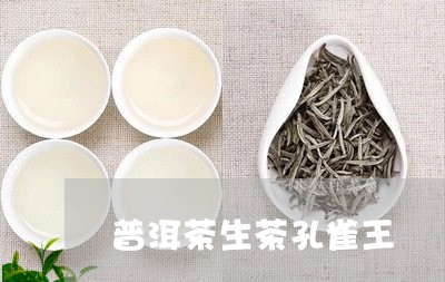 普洱茶生茶孔雀王/2023110948581