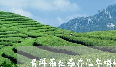 普洱茶生茶存几年喝好一点/2023083088504