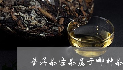 普洱茶生茶属于哪种茶/2023062858270