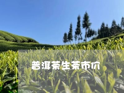 普洱茶生茶市价/2023081587159