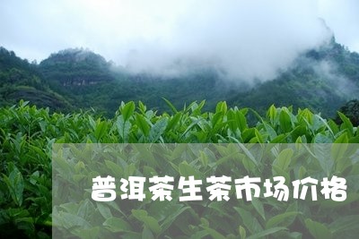 普洱茶生茶市场价格/2023091536494