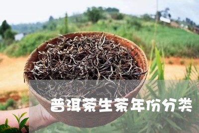 普洱茶生茶年份分类/2023070959504