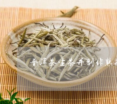 普洱茶生茶并制作熟茶/2023062838370