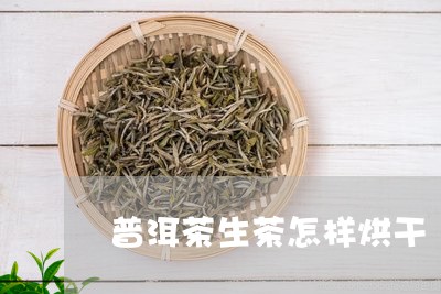 普洱茶生茶怎样烘干/2023091503927