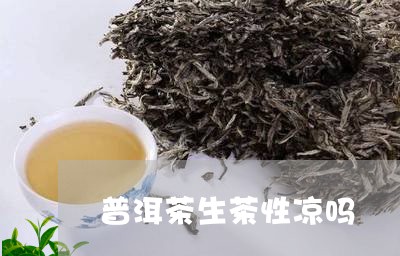 普洱茶生茶性凉吗/2023112693716