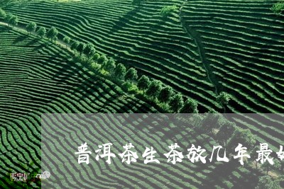 普洱茶生茶放几年最好/2023080384015